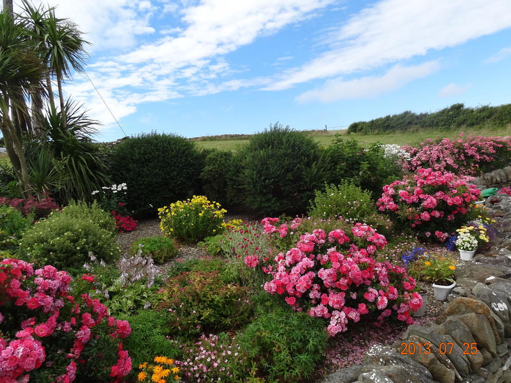 Atlantic View B&B Liscannor Exterior foto