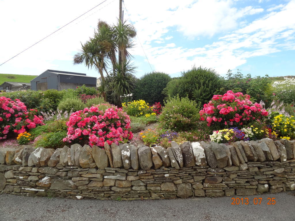 Atlantic View B&B Liscannor Exterior foto